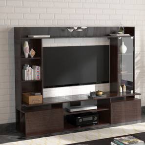 Sankofa Vision Wall Unit